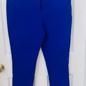 Blue Pants Petite/short